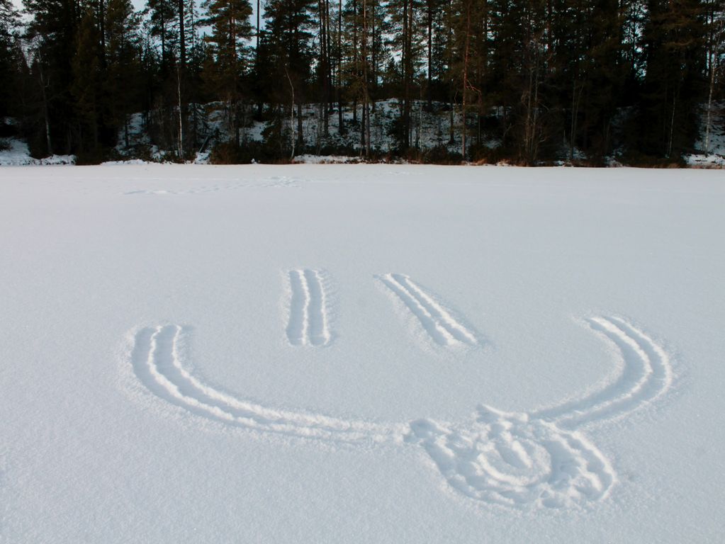 Sneeuwpret groepsreis Zweden